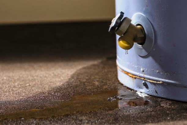 Best Local water damage restoration  in Saxonburg, PA