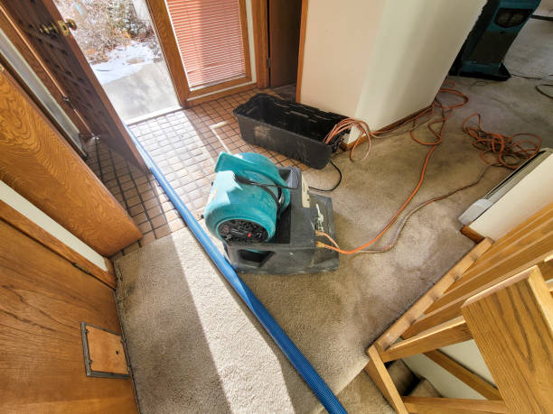 Best 24-hour water damage restoration  in Saxonburg, PA