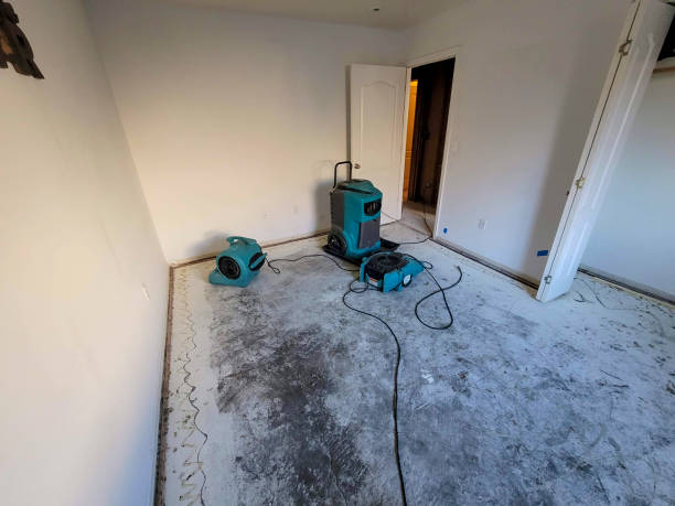 Best 24/7 water damage repair  in Saxonburg, PA