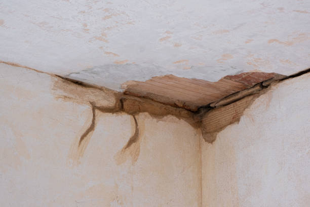 Best Basement water damage restoration  in Saxonburg, PA