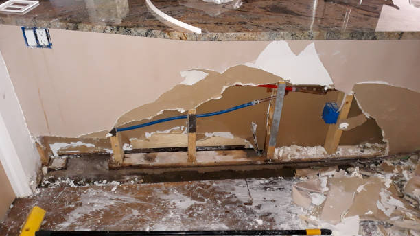 Best Ceiling water damage repair  in Saxonburg, PA