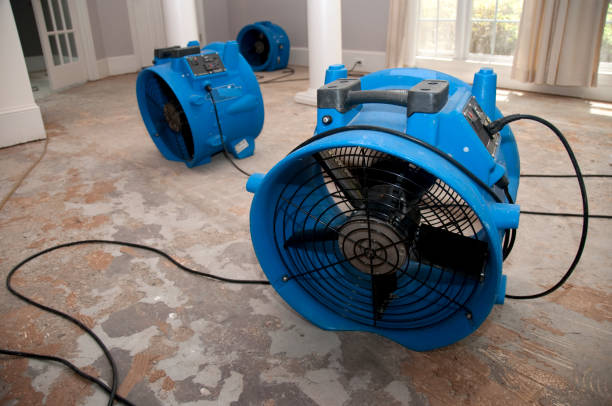 Best Sewage cleanup and water damage restoration  in Saxonburg, PA