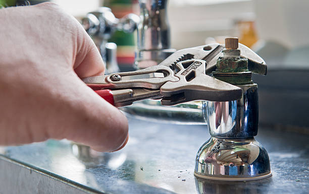 Best Water damage restoration mold remediation  in Saxonburg, PA