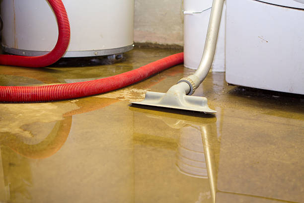 Best Water damage restoration company  in Saxonburg, PA