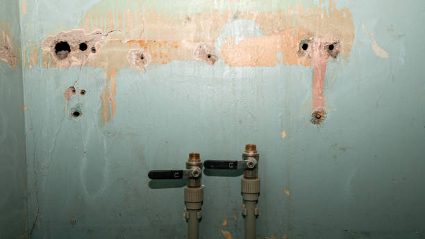  Saxonburg, PA Water damage restoration Pros