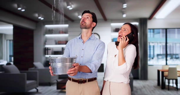 Best Local water damage restoration  in Saxonburg, PA