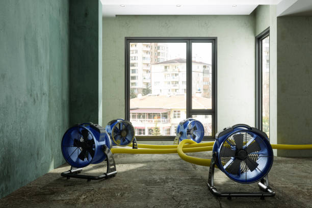 Best Ceiling water damage repair  in Saxonburg, PA