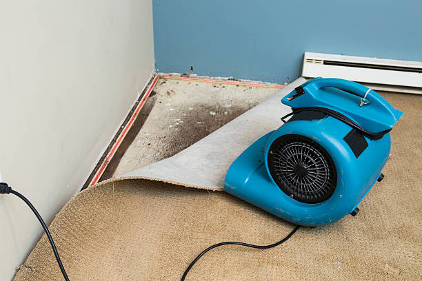 Best Water damage restoration near me  in Saxonburg, PA
