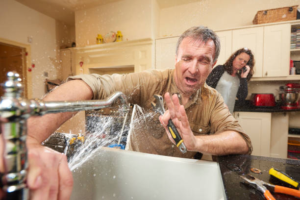 Best Professional water damage repair  in Saxonburg, PA